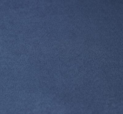 Ткань Бонд Blue 12 - велюр шлифованный